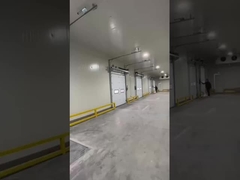 bölgesel kapı performansı